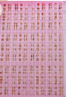 Pet Hamster Cage Mat - Image 9