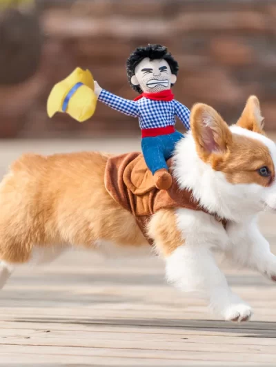 Novelty Cowboy Rider Dog Costume for Dogs Clothes Party Halloween Pet Costume New Year Outfit Pet Cat Clothes Chihuahua