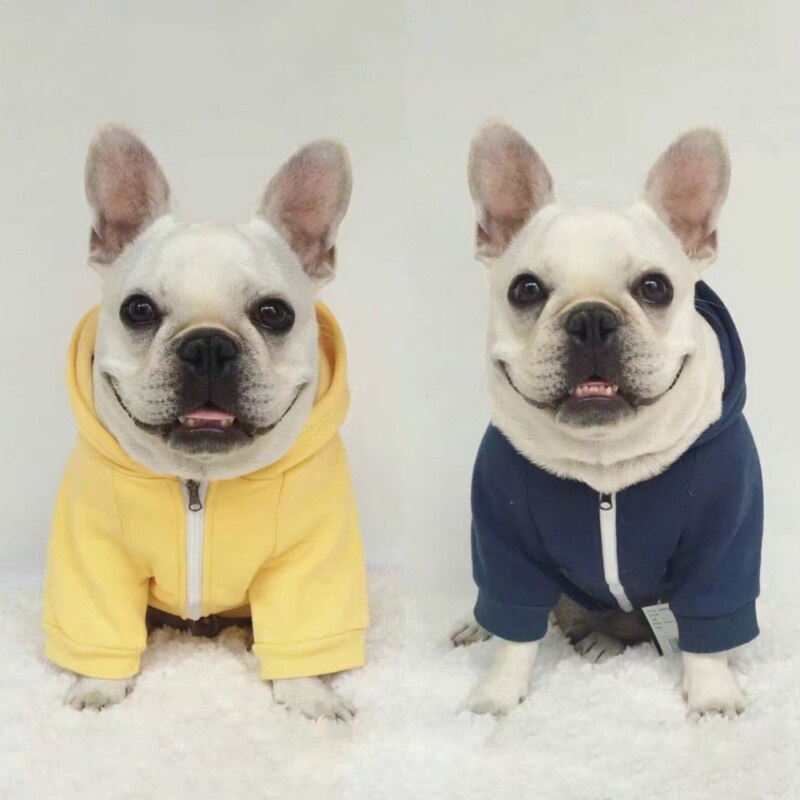 Solid Color Dog Zipper Sweaters
