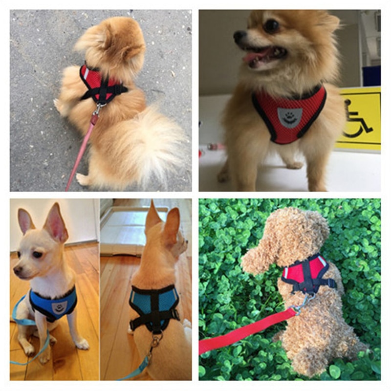 Dog Harness With Walking Leash - Image 8
