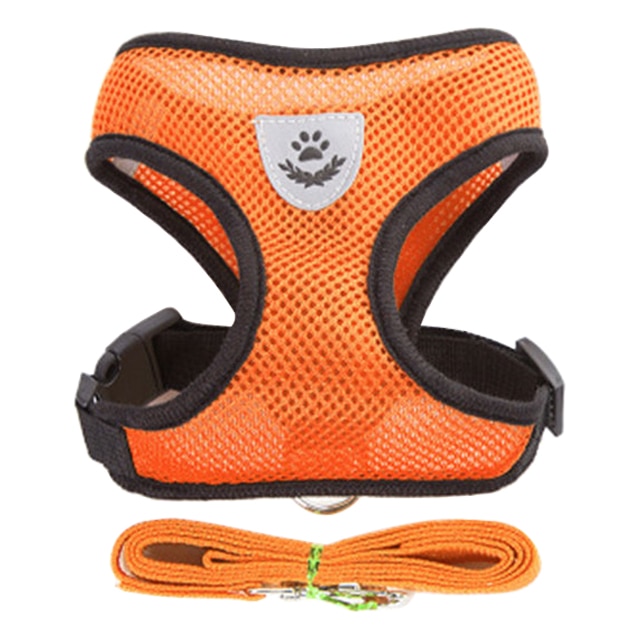 Dog Harness With Walking Leash - Image 9