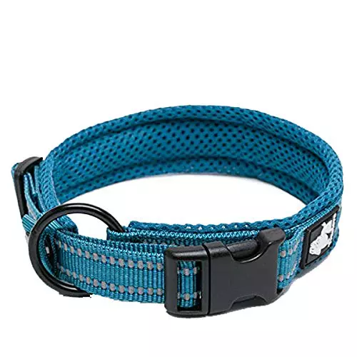 Truelove Pet Dog Collar Nylon Adjustable Webbing Padded Soft Reflective Durable Heavy Duty Training Custom Luxury Cat TLC5011 - Image 9