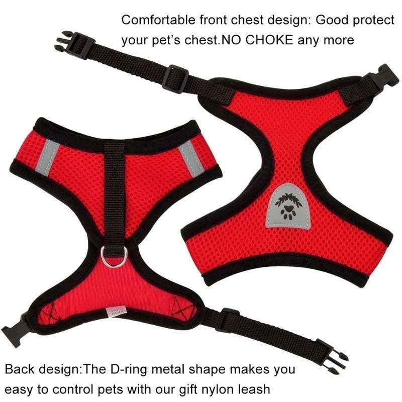 Dog Harness With Walking Leash - Image 4