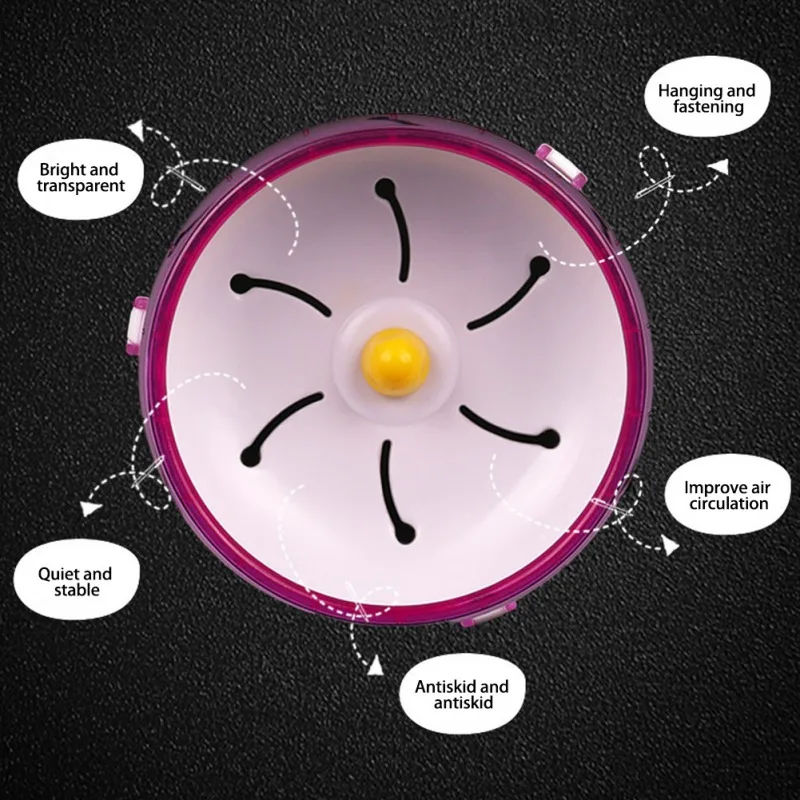 Sports Accessories For Small Animal - Image 5