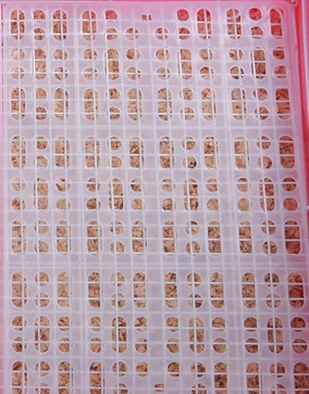 Pet Hamster Cage Mat - Image 7