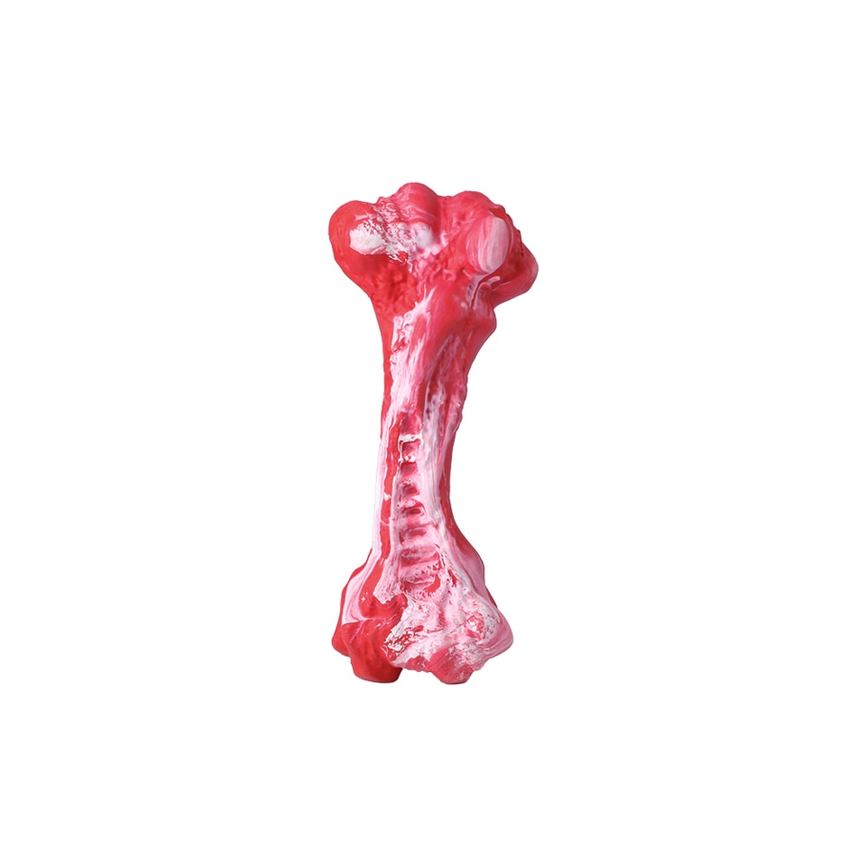Bone-Shaped Indestructible Chew Toy - Image 8
