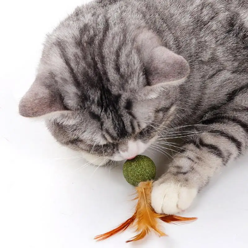 Catnip Ball Feather Cat Tooth Cleaning Cat Toy Promote Digestion Pet Kitten Interactive Chew Hair Removing Ball Pet Accessories - Image 2