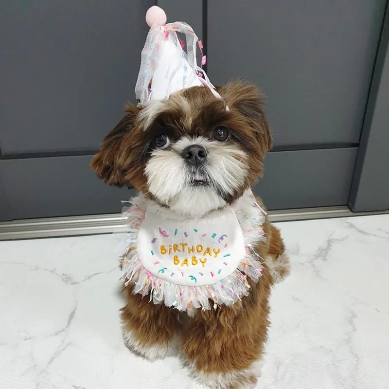 Pet Birthday Bandana and Hats Set Dog or Cat Birthday - Image 3
