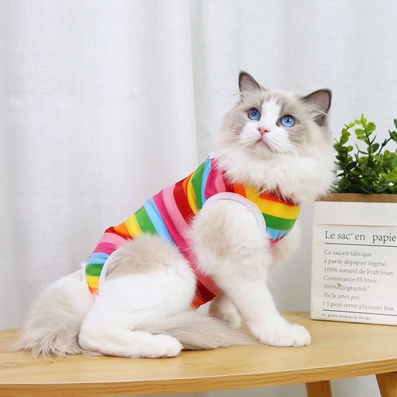 Fruit Print Cat Suit - Image 7