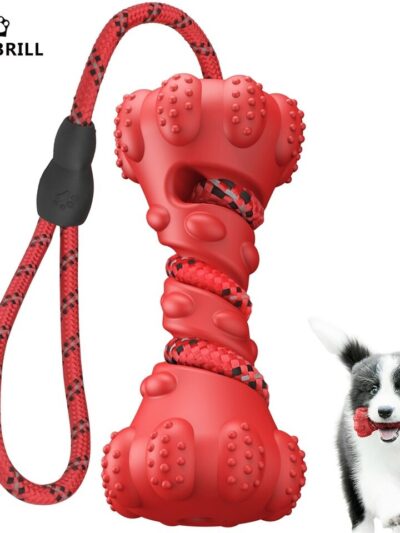 Interactive Rubber Dumbbell Chew Toys