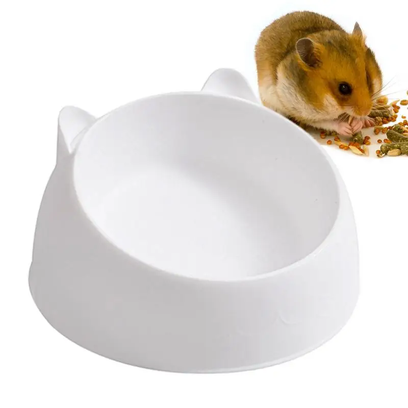 Small Pet Food Feeder