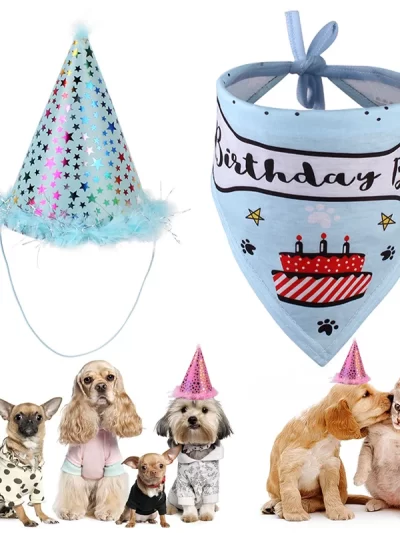 1~10PCS Birthday Party Hat and Bandana