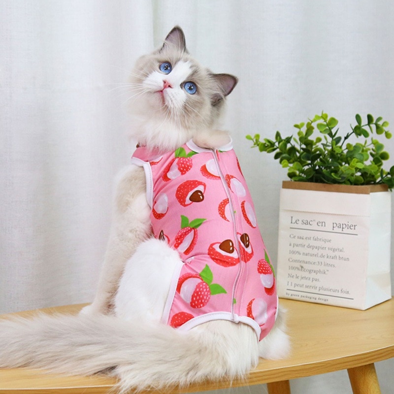 Fruit Print Cat Suit - Image 2