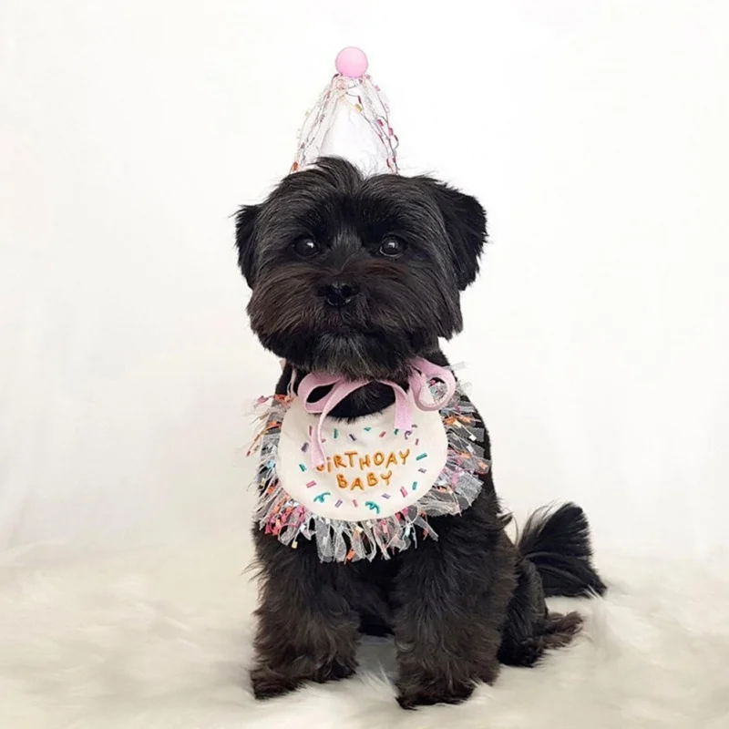Pet Birthday Bandana and Hats Set Dog or Cat Birthday - Image 5