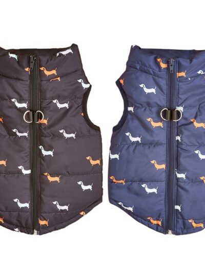 Windproof Dog Coat