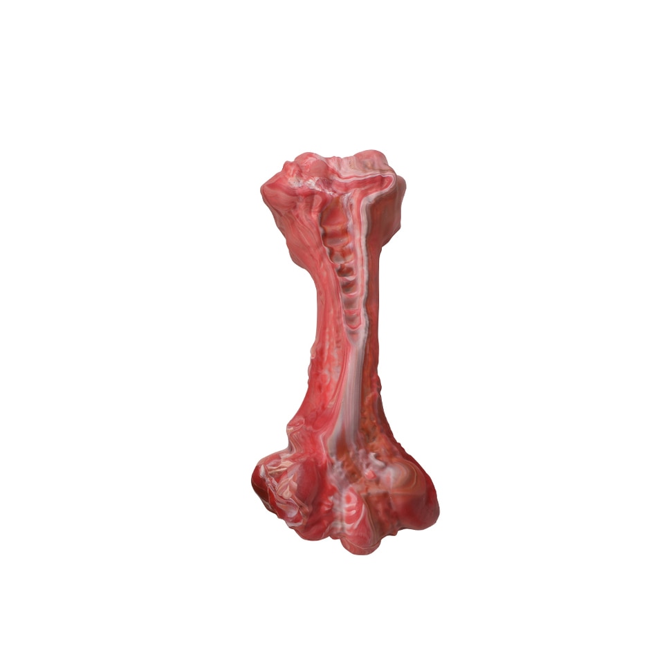 Bone-Shaped Indestructible Chew Toy - Image 7