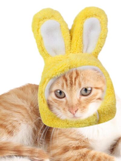 Cat Easter Bunny Costume