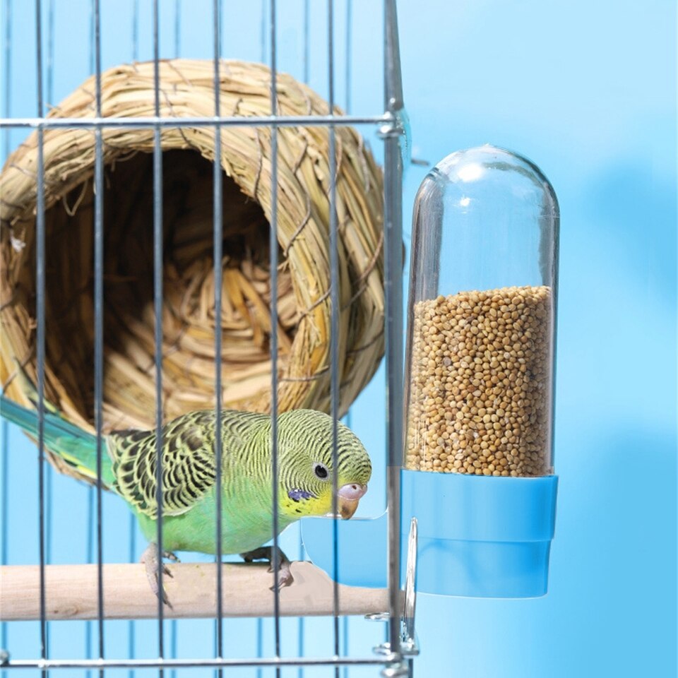 Automatic Bird Feeder - Image 4