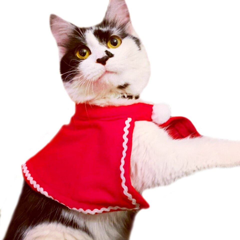 Christmas Cat Costumes - Image 3