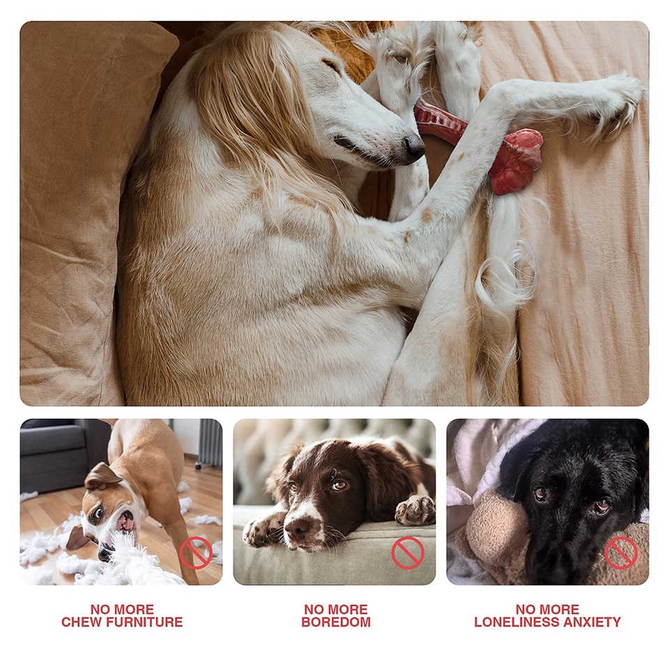 Bone-Shaped Indestructible Chew Toy - Image 9