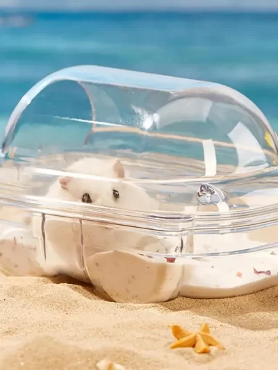 Dual-Use Hamster Sand Bath Container