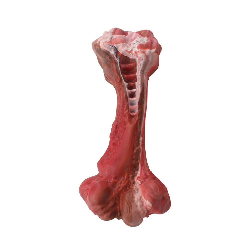 Bone-Shaped Indestructible Chew Toy - Image 6