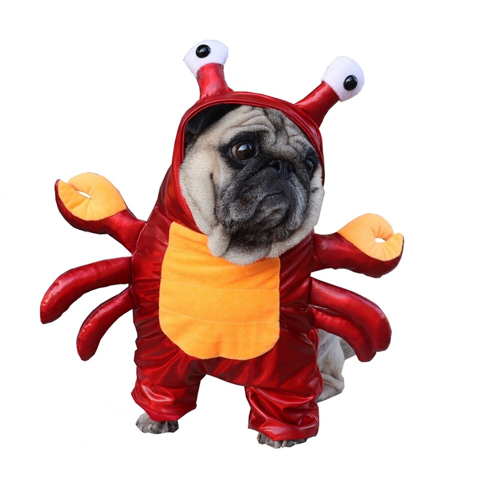 Red Crab Costume