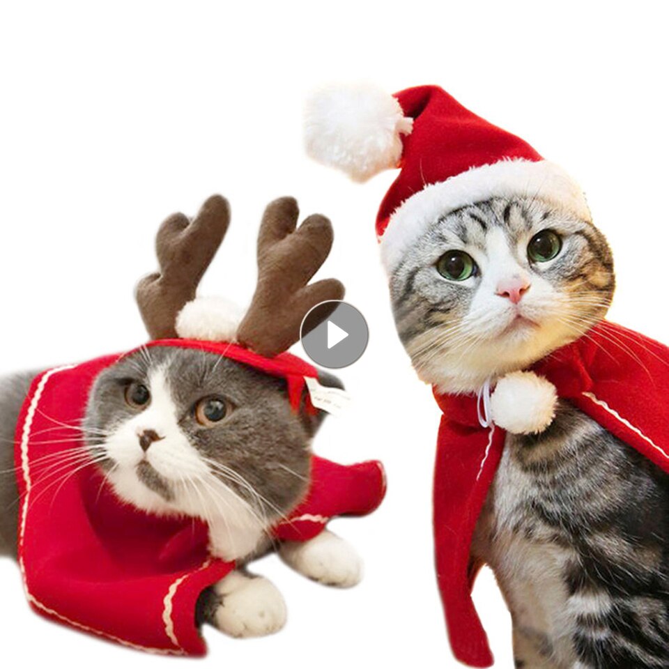 Christmas Cat Costumes