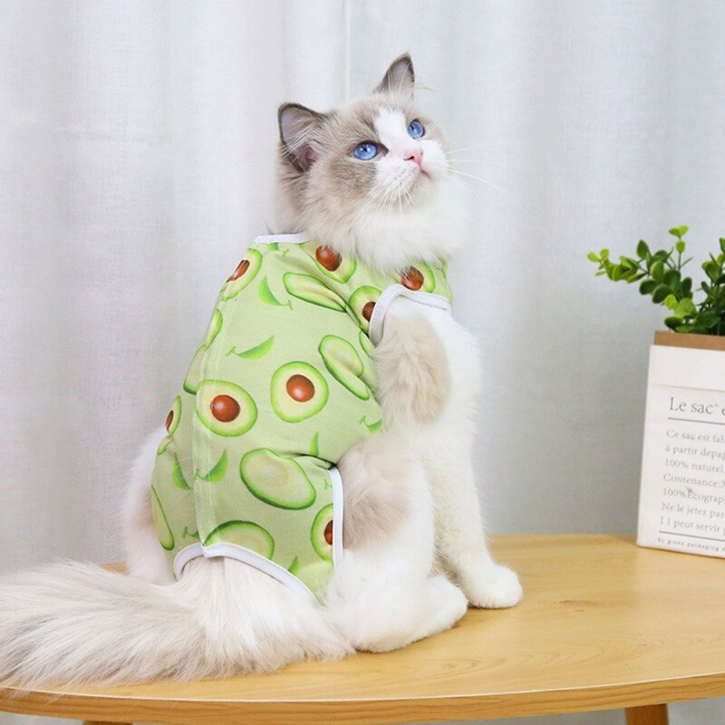 Fruit Print Cat Suit - Image 9