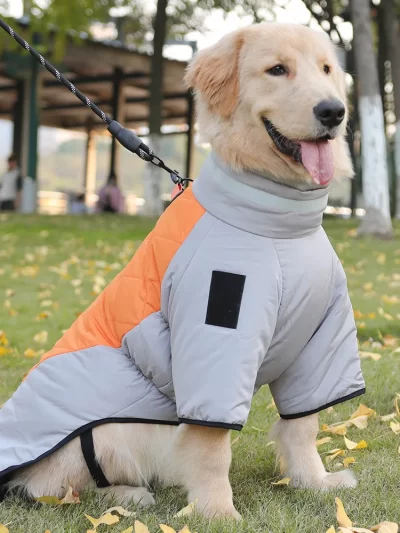 Winter Dog Jacket Waterproof Padded