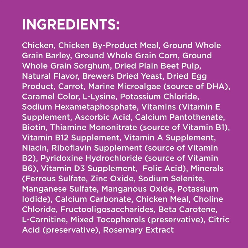 Healthy Aging Adult Dry Dog Food for Mature and Senior Dogs with Real Chicken, 29.1 lb. Bag - Image 4