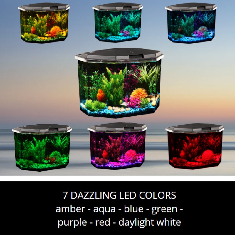 Aqua Culture 6.5-Gallon Semi-Hex Aquarium - Image 6