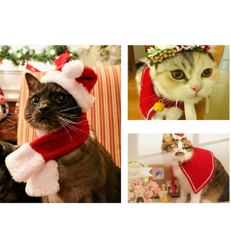 Christmas Cat Costumes - Image 7