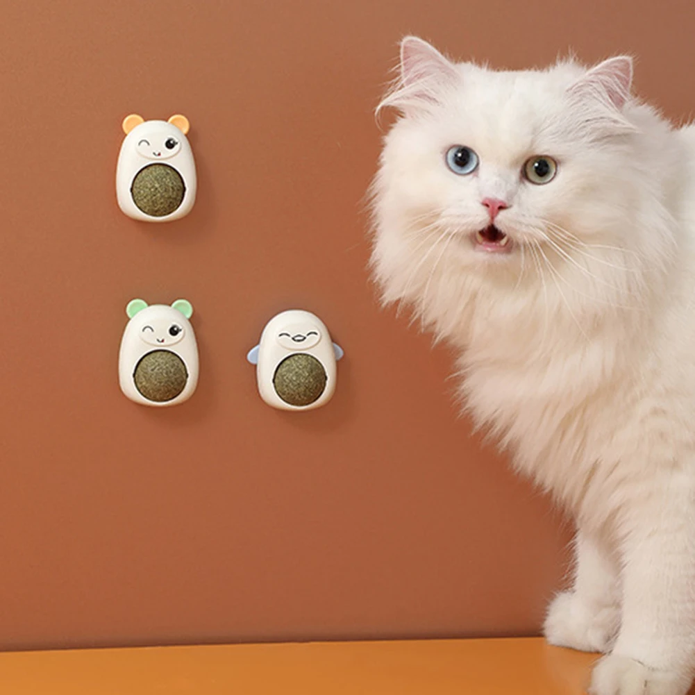 Plastic Catnip Ball Natural Safe Cats Catnip Balls Toy with Transparent Cover Cats Teeth Cleaning Catnip for Pet Treats Supplies - Image 3