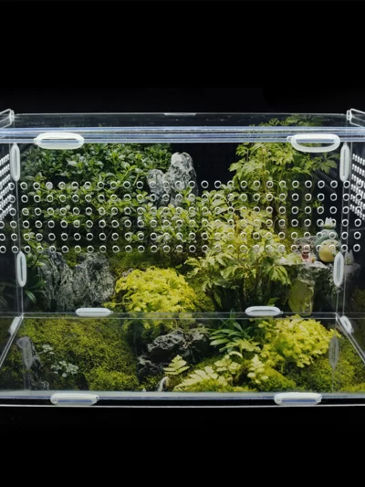 Large Acrylic Terrarium