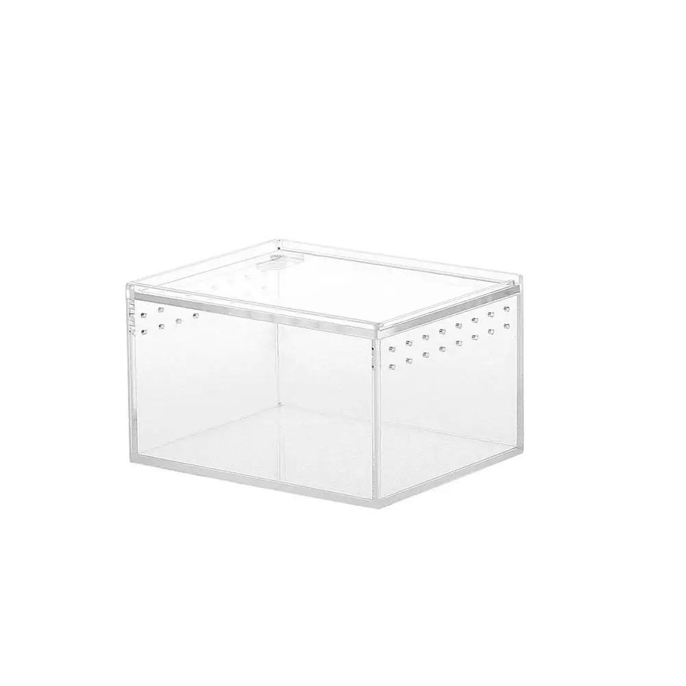 Acrylic Reptile Breeding Box - Image 7