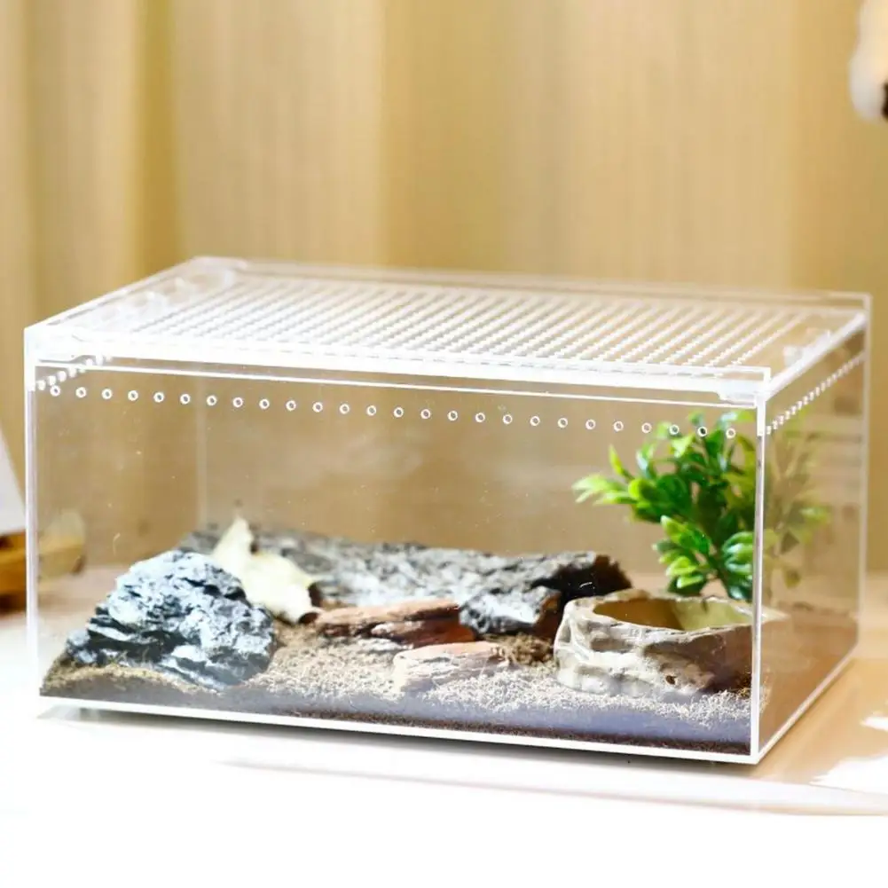 Transparent Reptile Breeding Box - Image 3