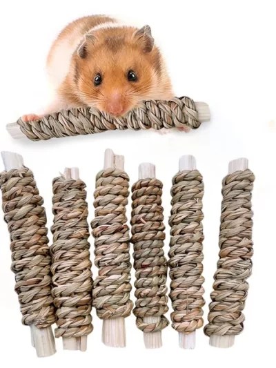 6pcs Bamboo Apple Wood Molar Toy