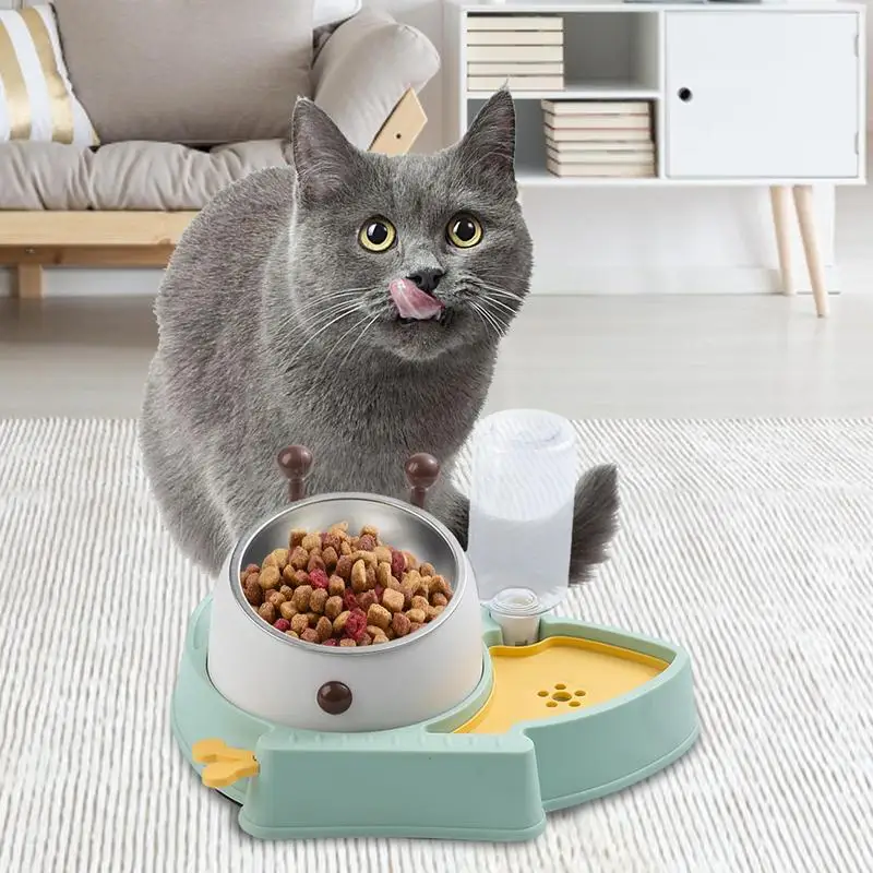 Double Cat Bowl - Image 4