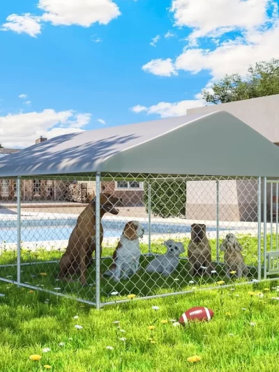 10'x10' Outdoor Dog Kennel with Roof