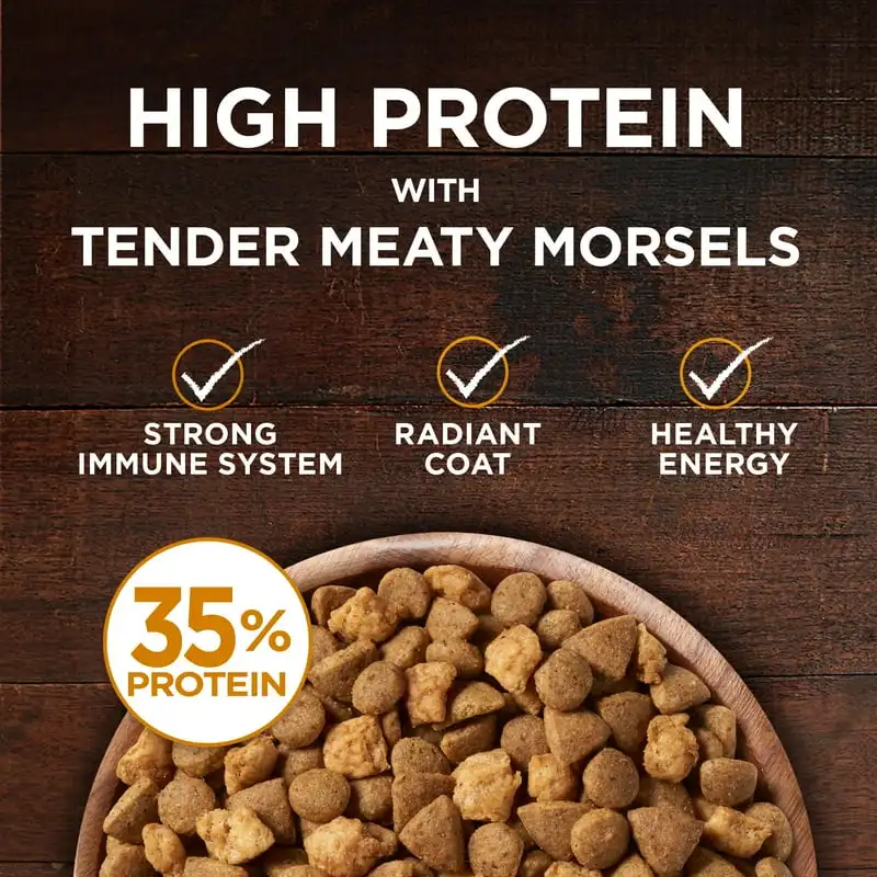 True Instinct Dry Cat Food Chicken, Grain-Free, 14.4 lb Bag - Image 2