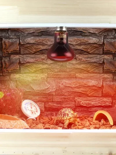 LED UVA Infrared Heat Lamp