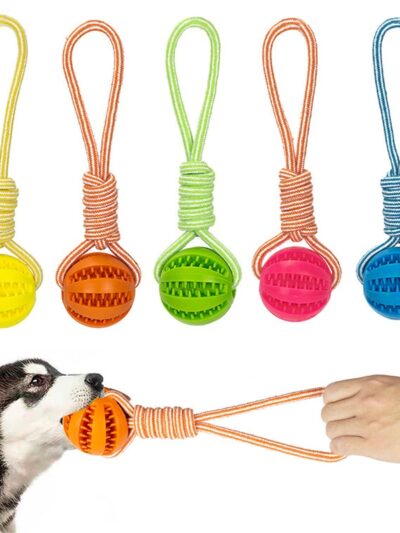Dog Toys Treat Balls Chewing Bite Resistant Toys Pet Tooth Cleaning