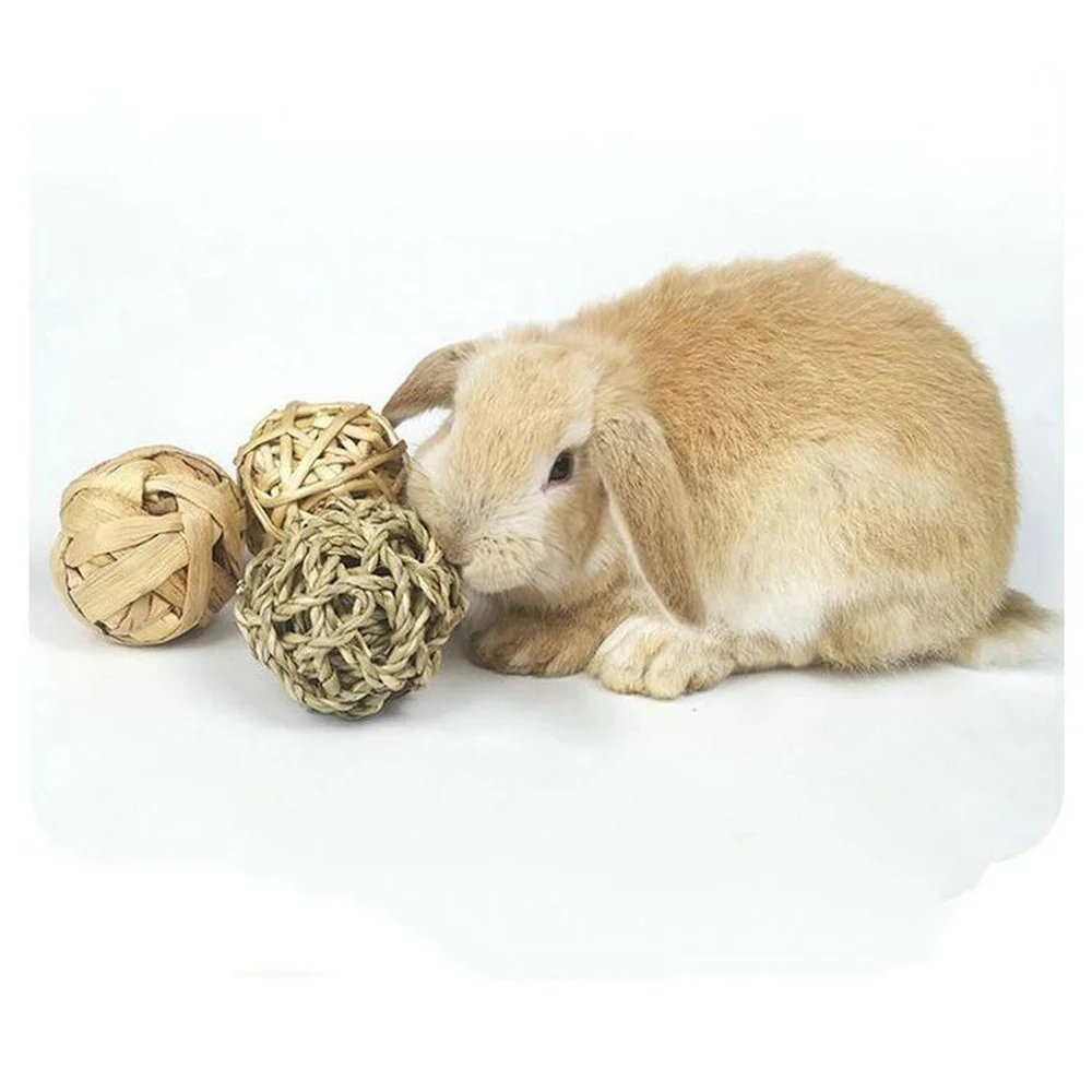 Pet Rabbit Hamster Chewing Ball - Image 6