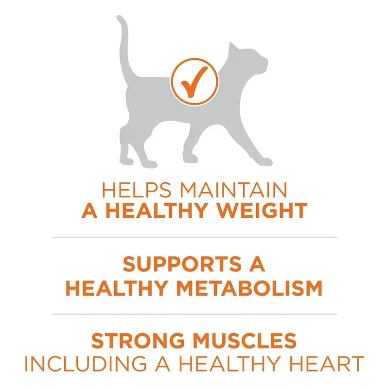 Ideal Weight High Protein Dry Cat Food Turkey, 16 lb Bag - Image 4