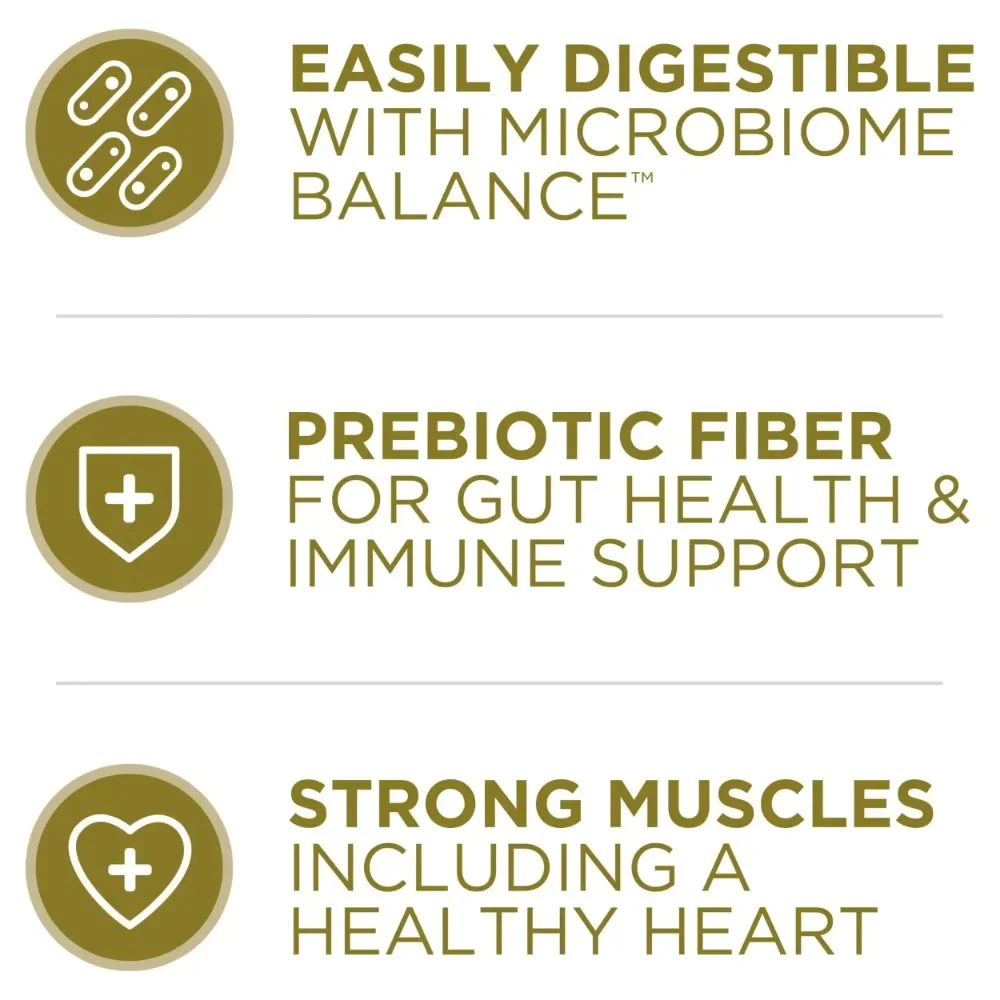 Purina One Dry Dog Food High Protein Microbiome Balance,, Real Lamb & Rice, 31.1 lb Bag - Image 2