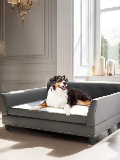 Luxurious Extra Large Elevated Dog Sofa