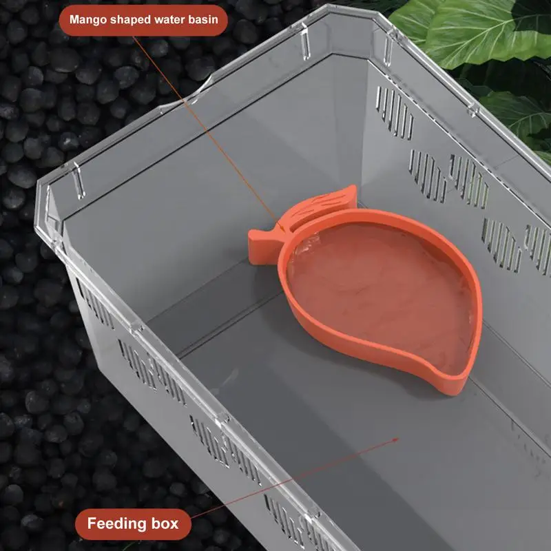 Mango Shape Reptile Feeder - Image 3