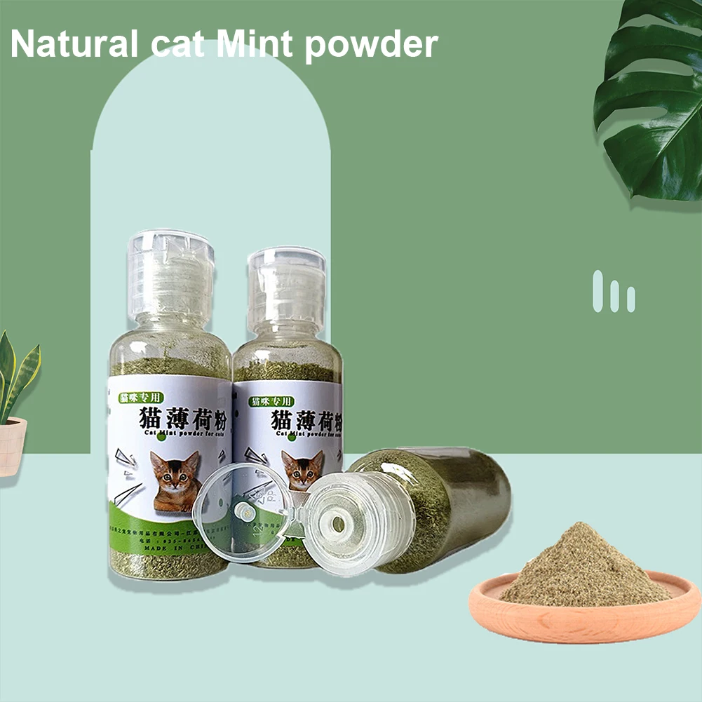 100% Natural Catnip - Image 5