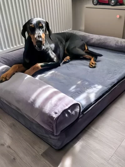 Waterproof Orthopedic Calming Dog Bed
